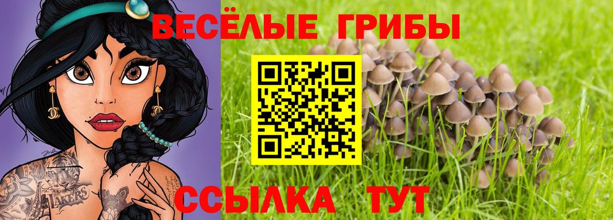 Псилоцибиновые грибы MAGIC MUSHROOMS Аша